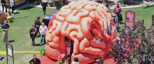 inflatablebrain