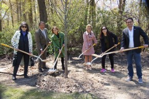 American Basswood Tree Planted in Colonial Acres Park for Arbor Day