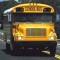 Chaperone Goes Berserk on Bat Mitzvah Bus