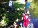 Planting Project at the Library Pond