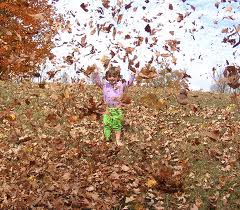 leafpile