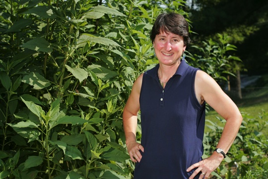 Maggie w sunflowerplants