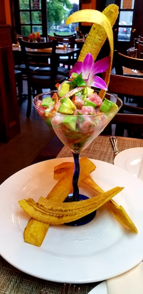 magnoceviche