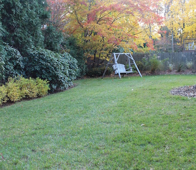 Leaf Mulch Mowing After