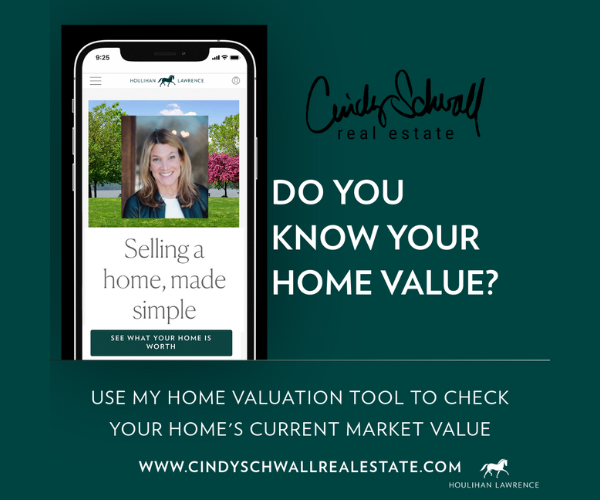 Cindy Schwall Run of Site