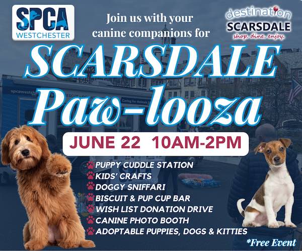 Pawlooza
