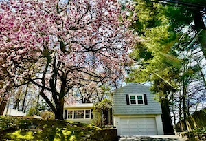 42 Mount Joy Avenue