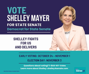 Shelley Mayer for Senate 2026