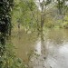 Record Breaking Rainfall Inundates Scarsdale