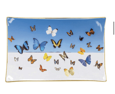 butterflytray