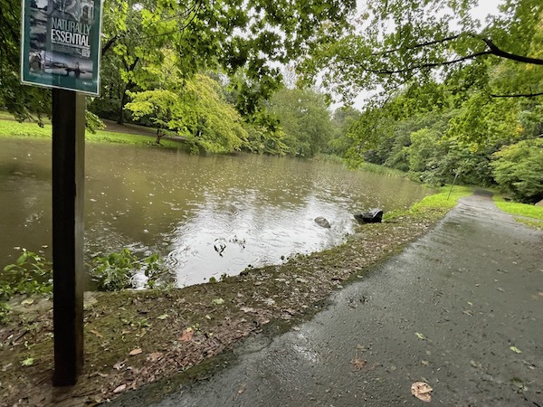 HitchcockPond