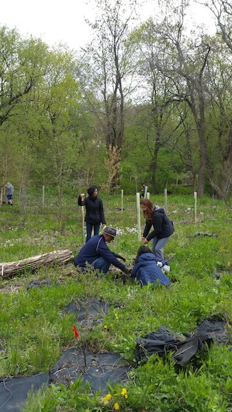 2019 04 27 Community Planting Day WNC NaturalistStudents