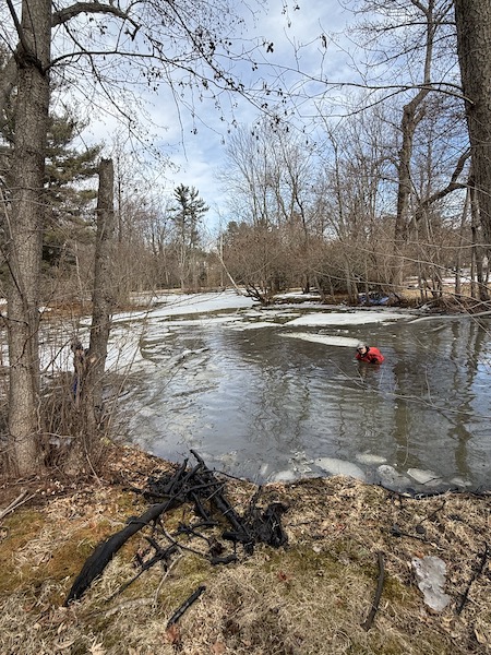 duckpond2