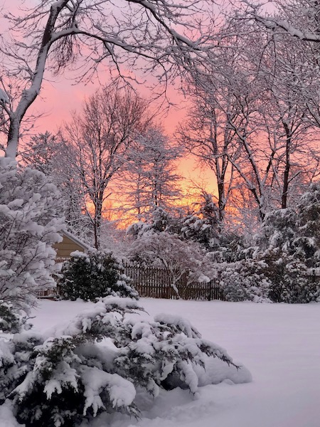 SnowSunset