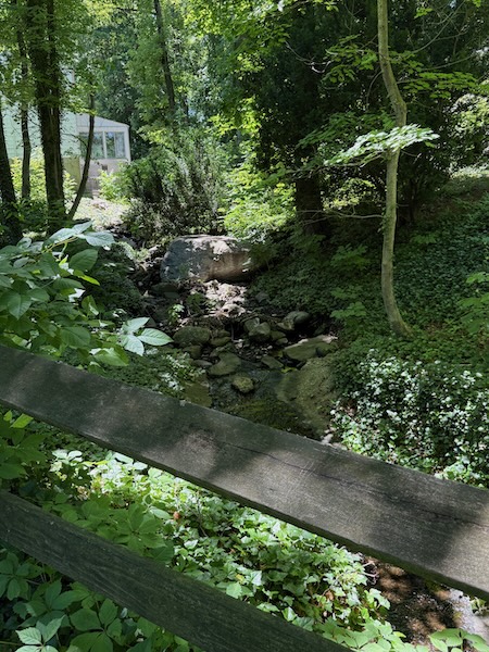 SpierRoadWetlands