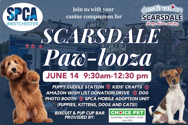Pawlooza