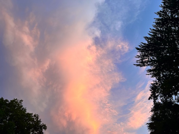 pinksunset