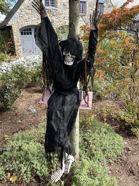 witch