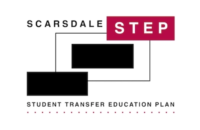 STEP logo copy