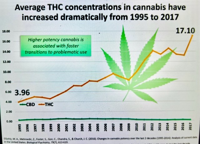 cannabisconcentration