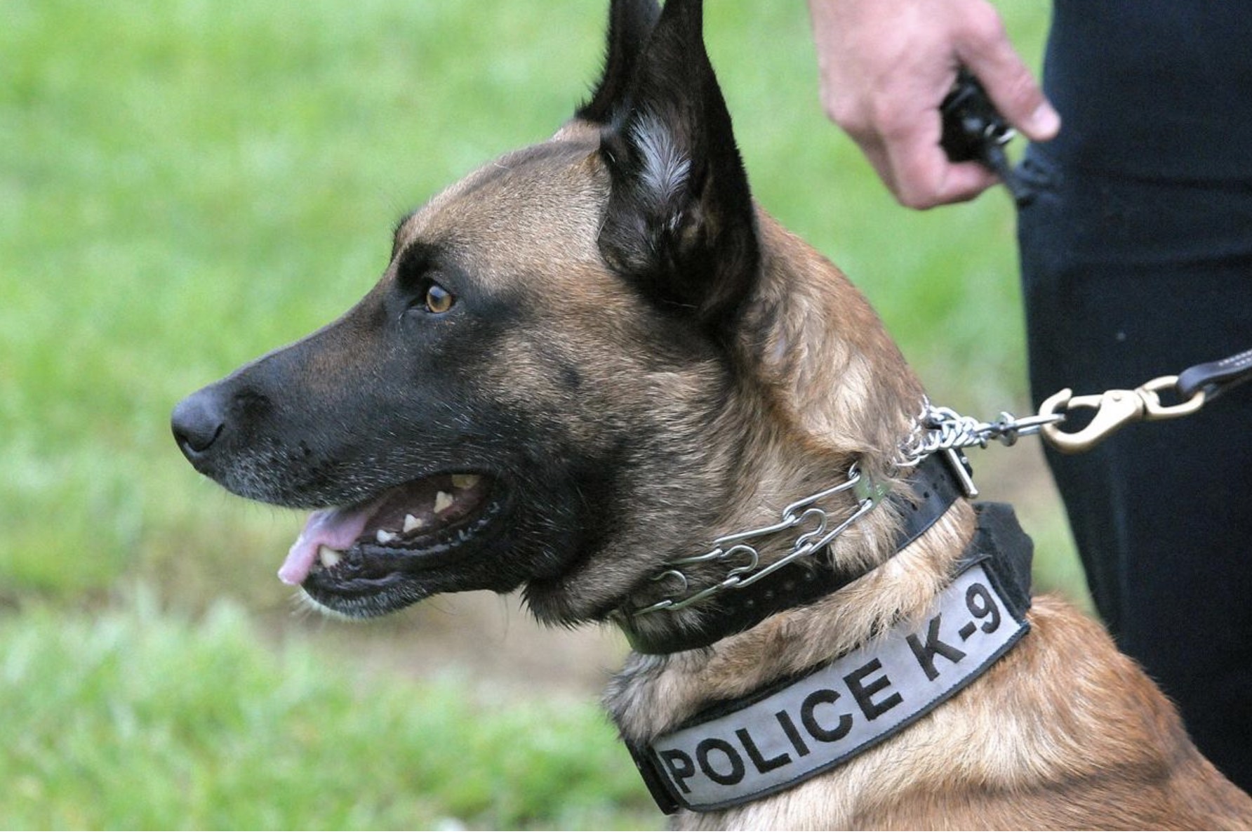 K9 Unit