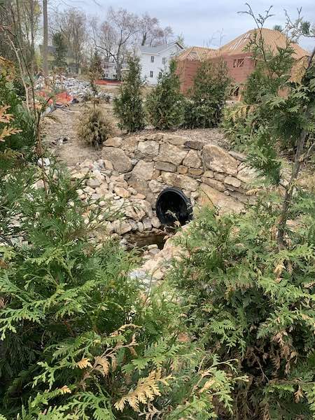 drainage