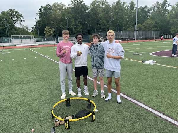nonsibispikeball