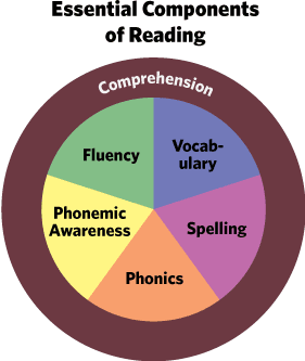 ReadingCompenents