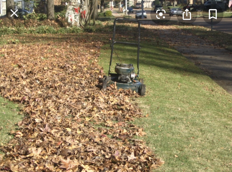 This Fall Mow Don t Blow Your Leaves