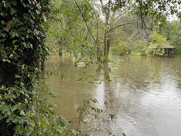 LibraryPond