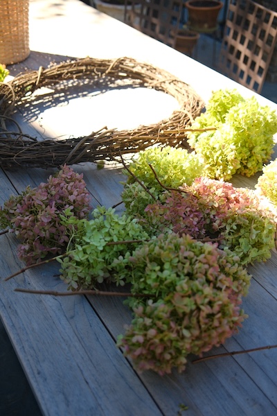 HydrangeasCut