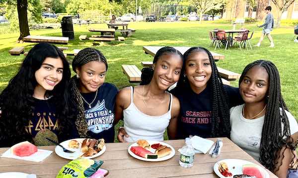 picnic5