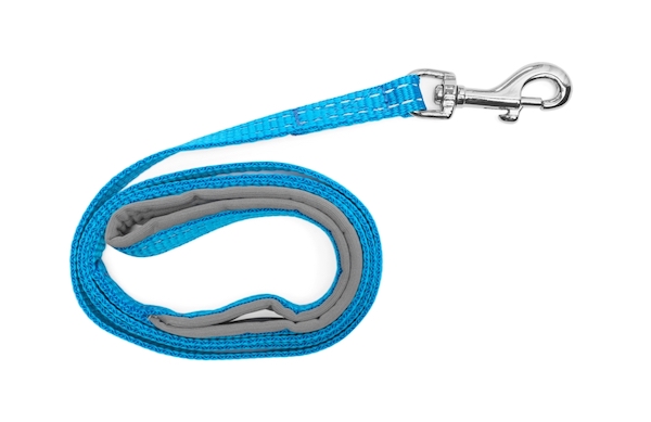dog leash