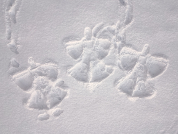 snowangels